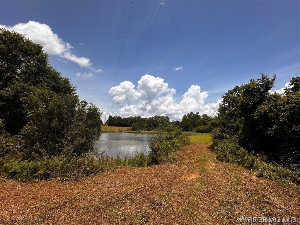 0 Culpepper Road Coffee Springs, AL 36318 - Photo 21 of 23 Gallery Image 21