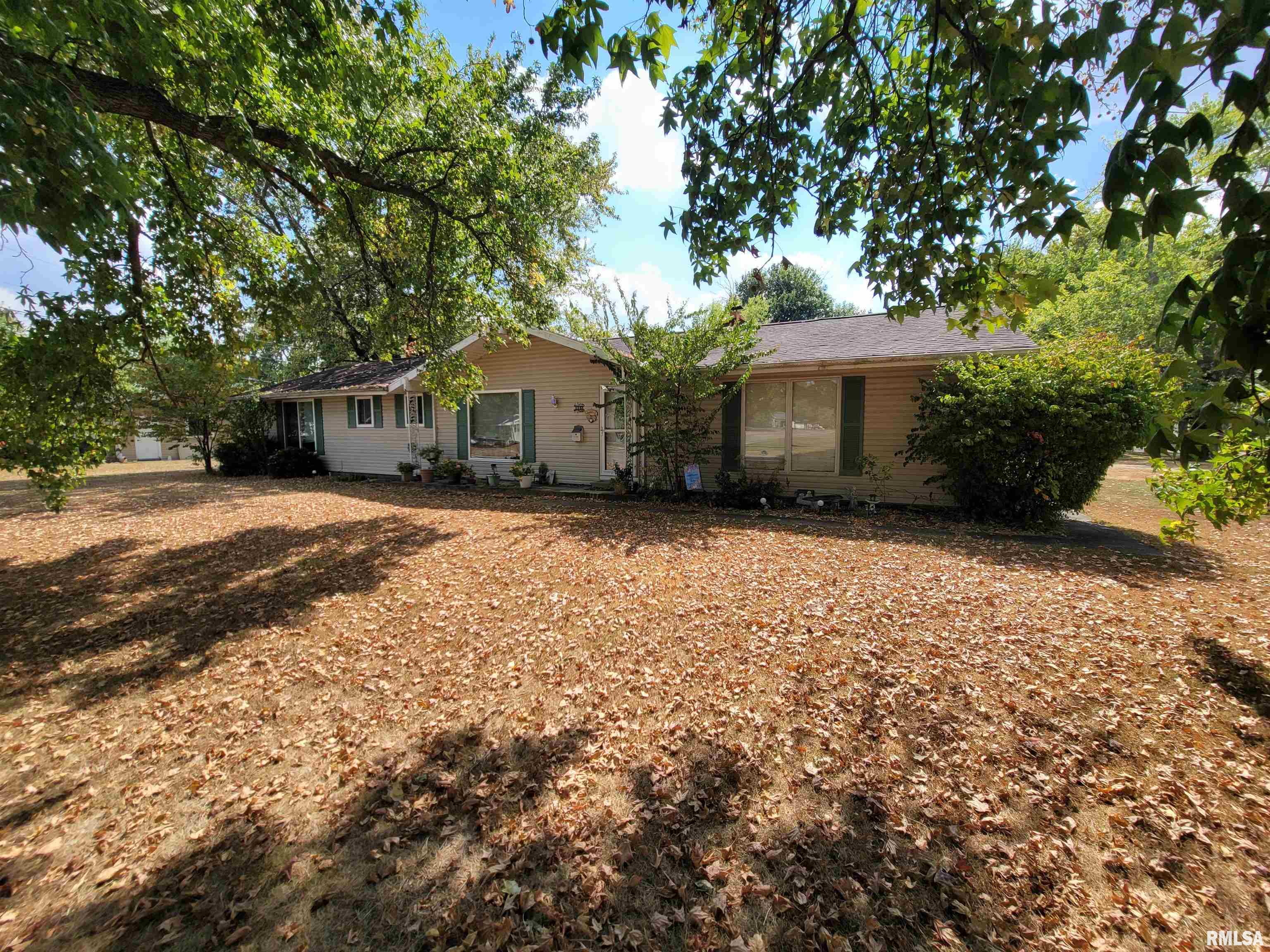 1133 West Boone Street Salem, IL 62881 - Photo 2 of 20