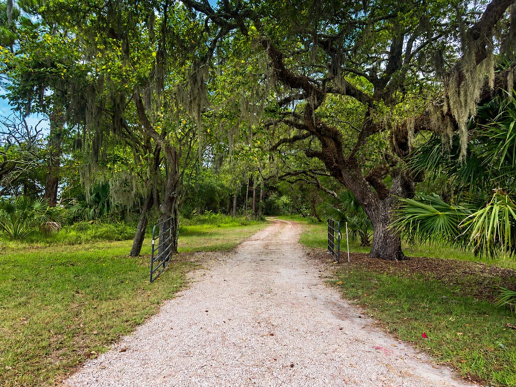 270 Pruett Road Eastpoint, FL 32328 - Photo 5 of 13 Gallery Image 5