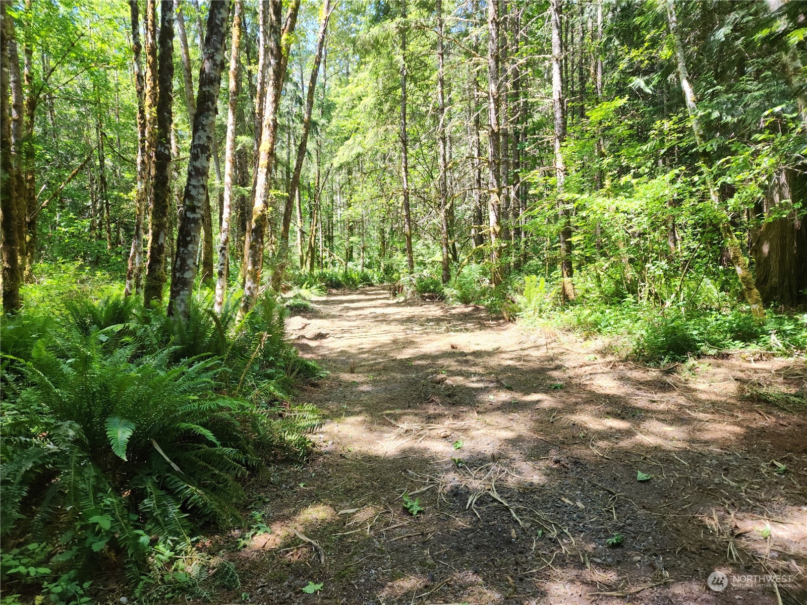 1 Kruger Road Onalaska, WA 98570 - Photo 12 of 16 Gallery Image 12