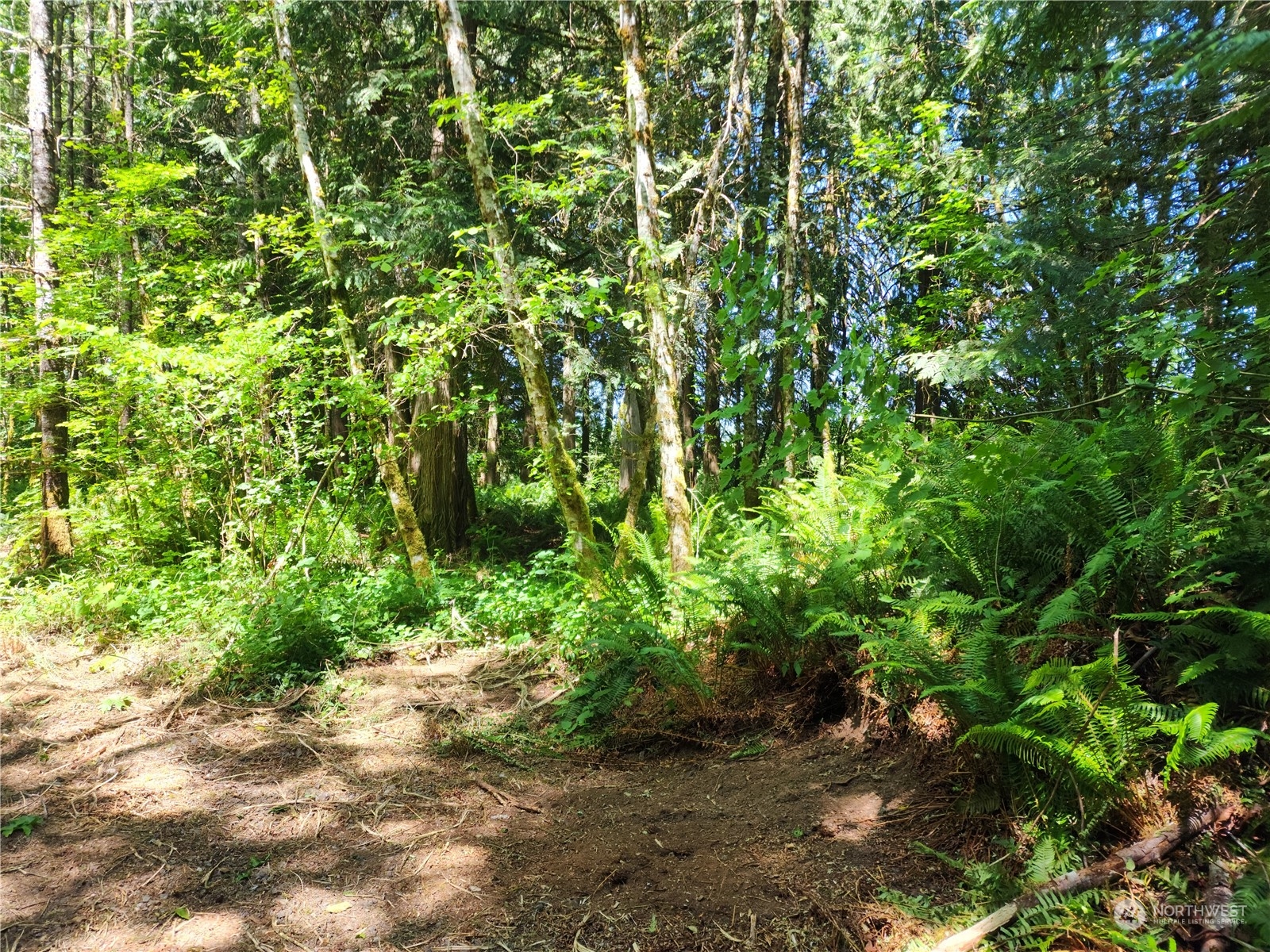 1 Kruger Road Onalaska, WA 98570 - Photo 14 of 16 Gallery Image 14