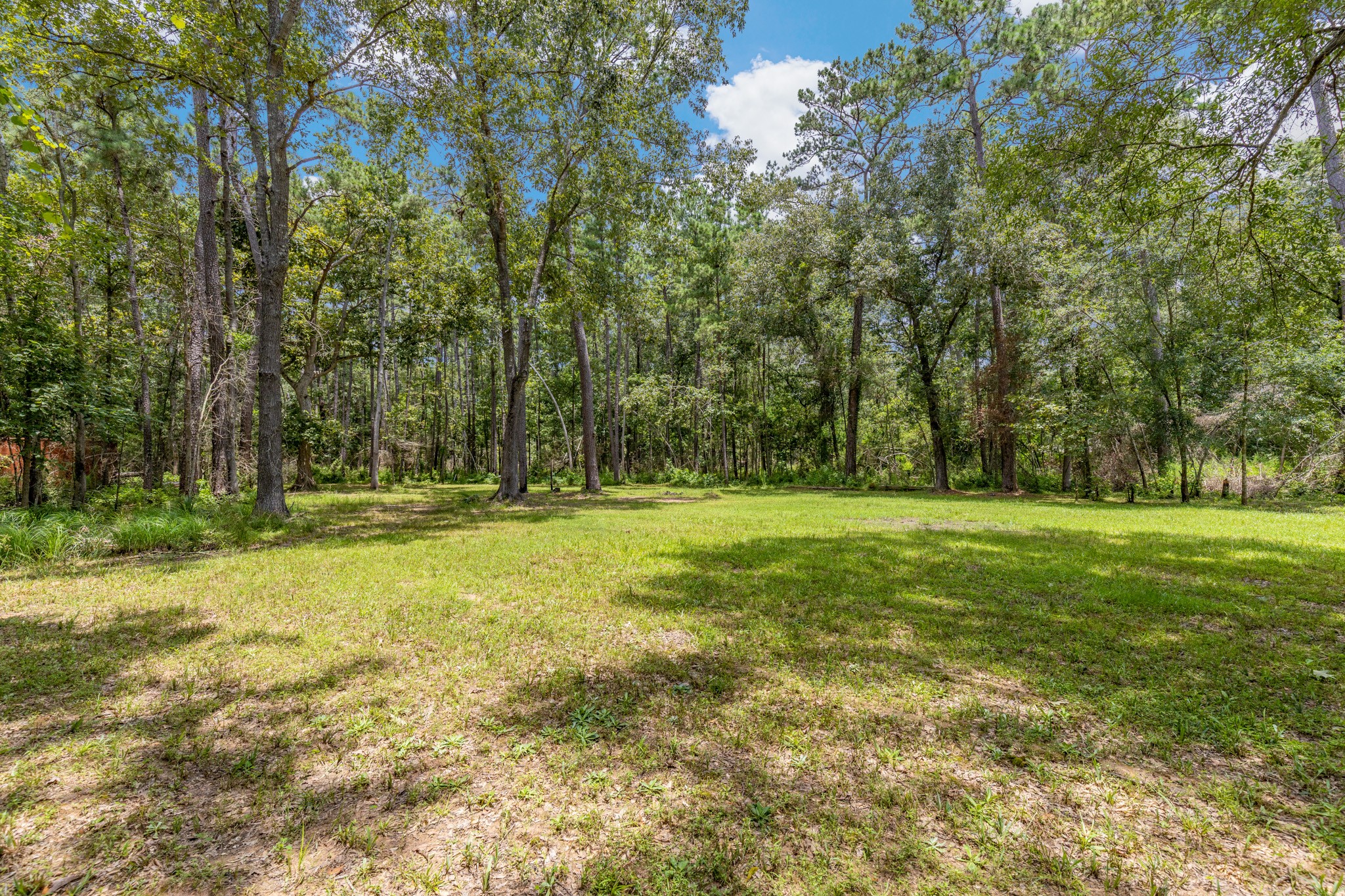 0 Holder Rambo Drive Huffman, TX 77336 - Photo 6 of 12