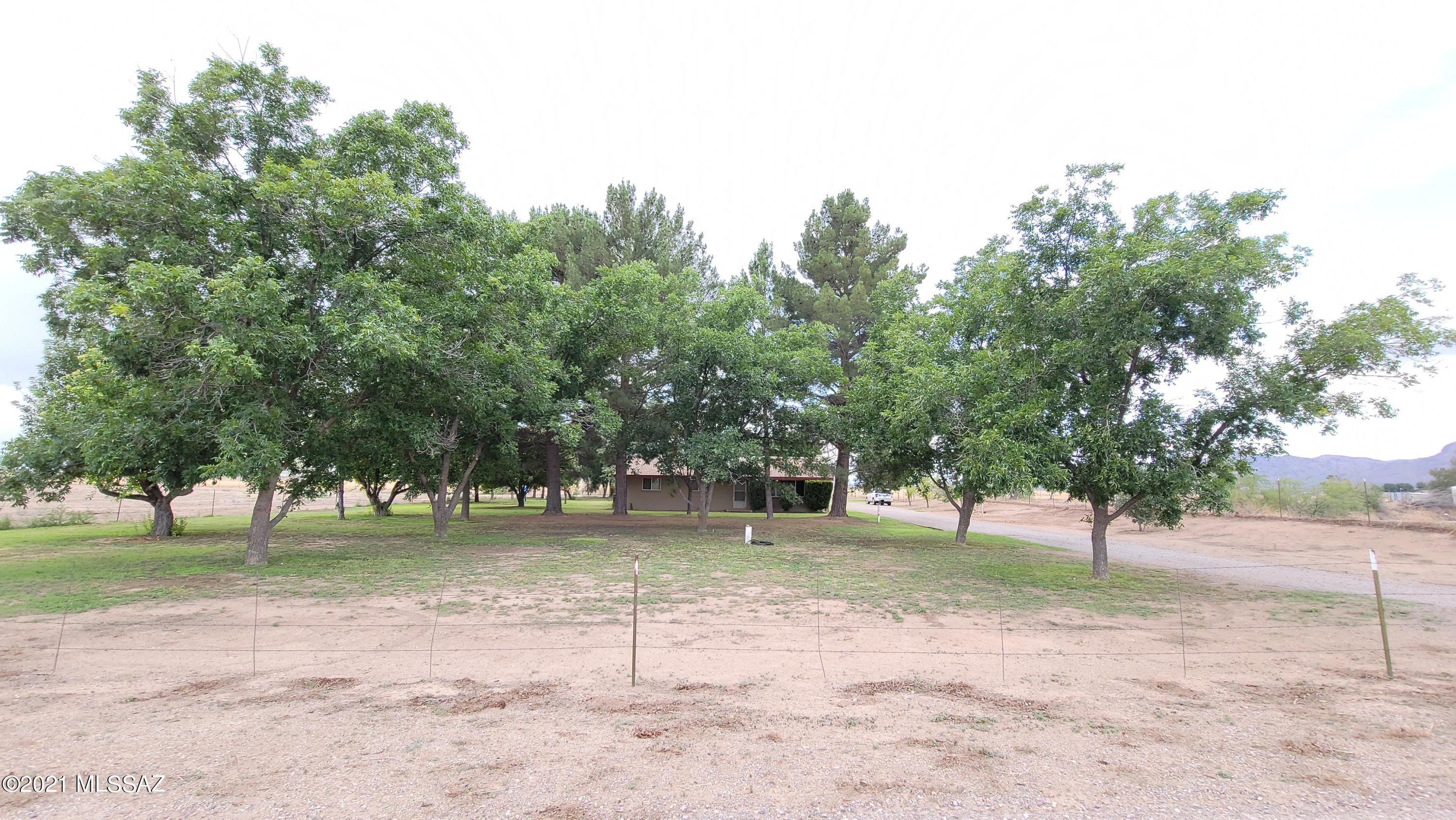 6465 Fort Grant Road Willcox, AZ 85643 - Photo 13 of 42