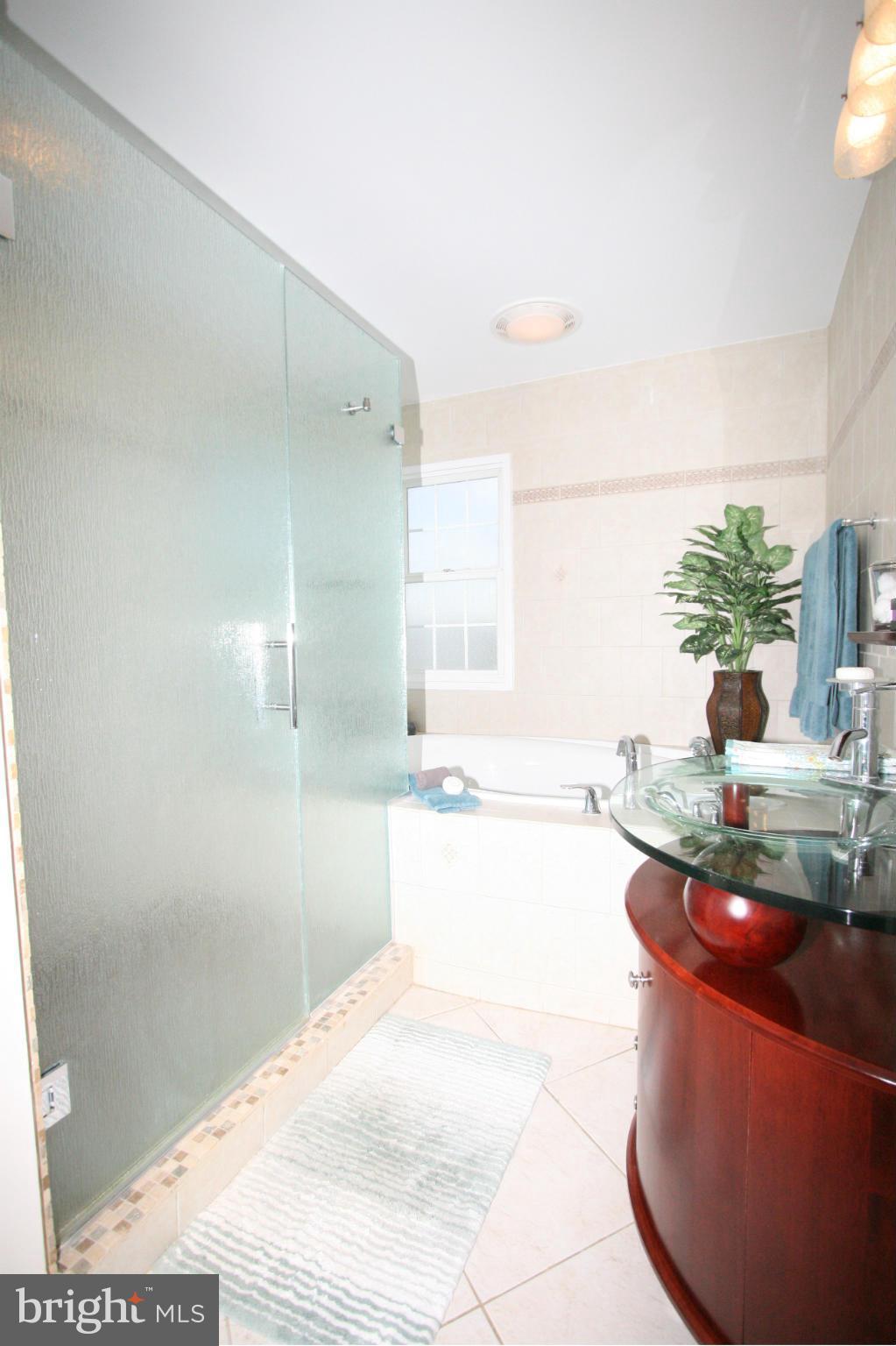 4303 Ferry Hill Court Point of Rocks, MD 21777 - Photo 13 of 30 Bath (Master)