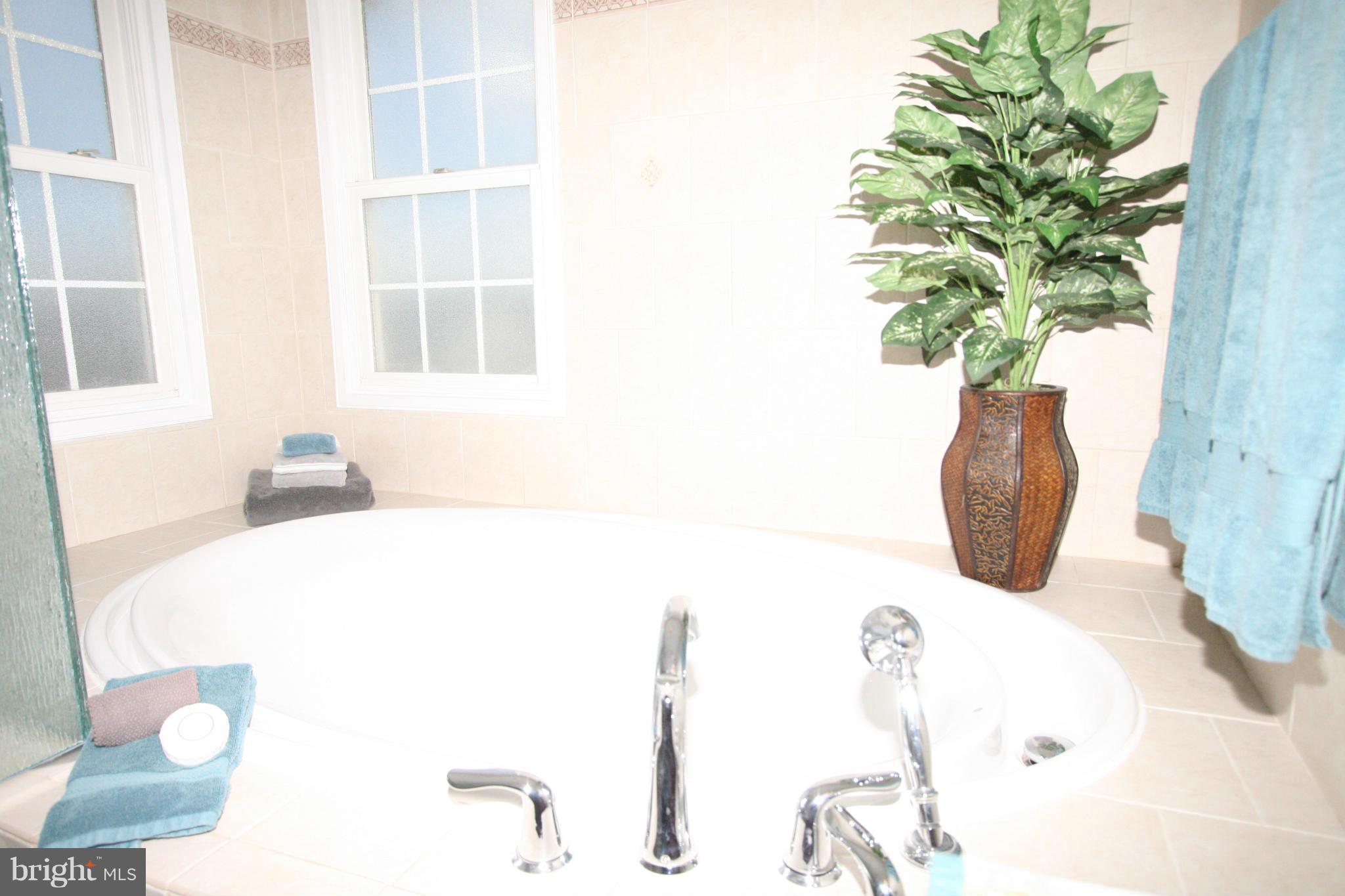 4303 Ferry Hill Court Point of Rocks, MD 21777 - Photo 14 of 30 Bath (Master)