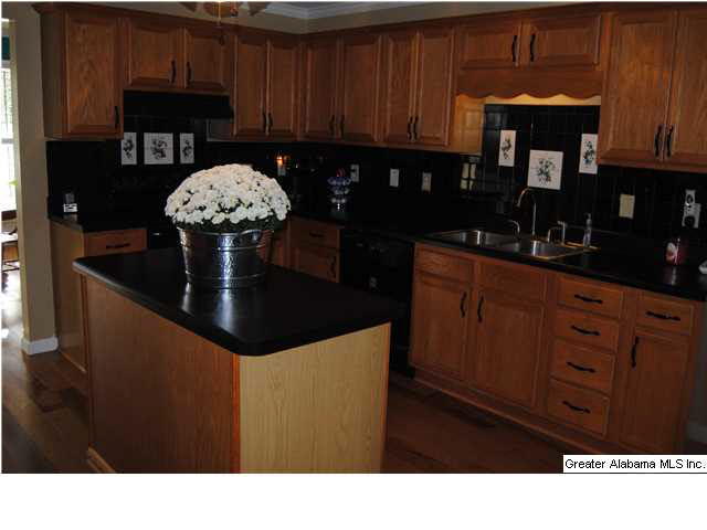 6405 Mays Bend Road Pell City, AL 35128 - Photo 10 of 21