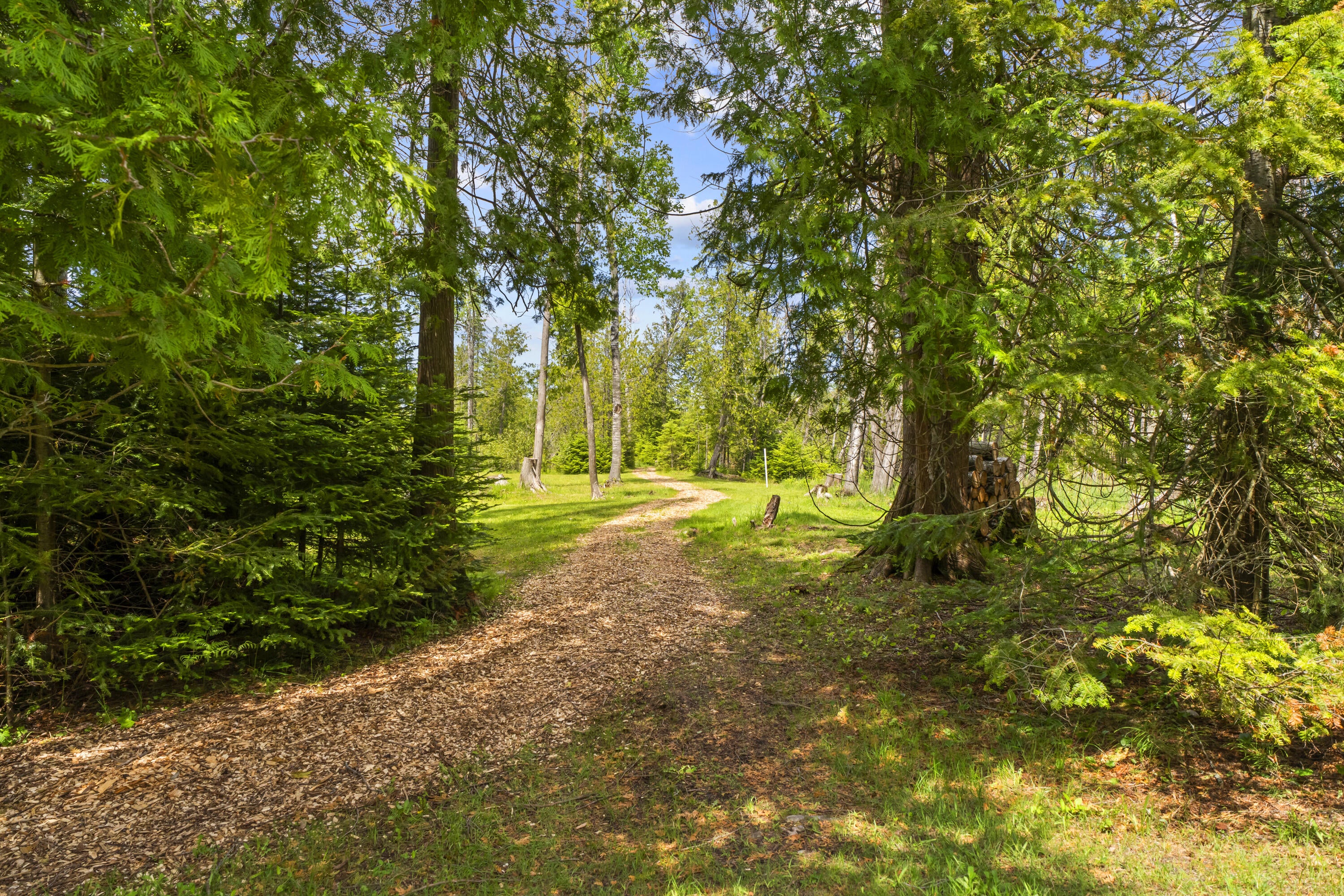 9201 Wreck Road Alpena, MI 49707 - Photo 17 of 99 Gallery Image 17
