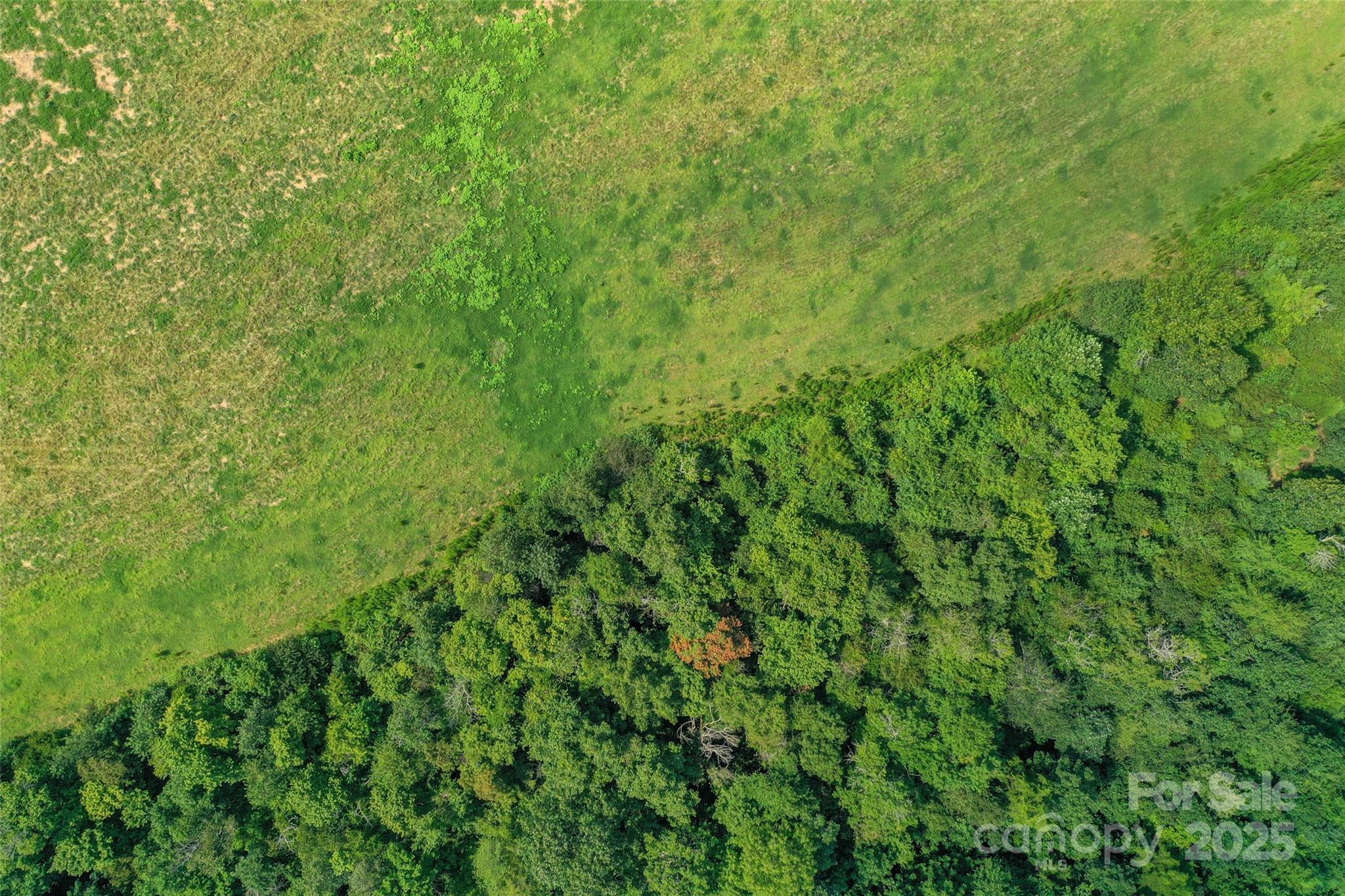 0 Old Goldmine Road, Unit H Marshville, NC 28103 - Photo 11 of 45 a view of a lush green forest