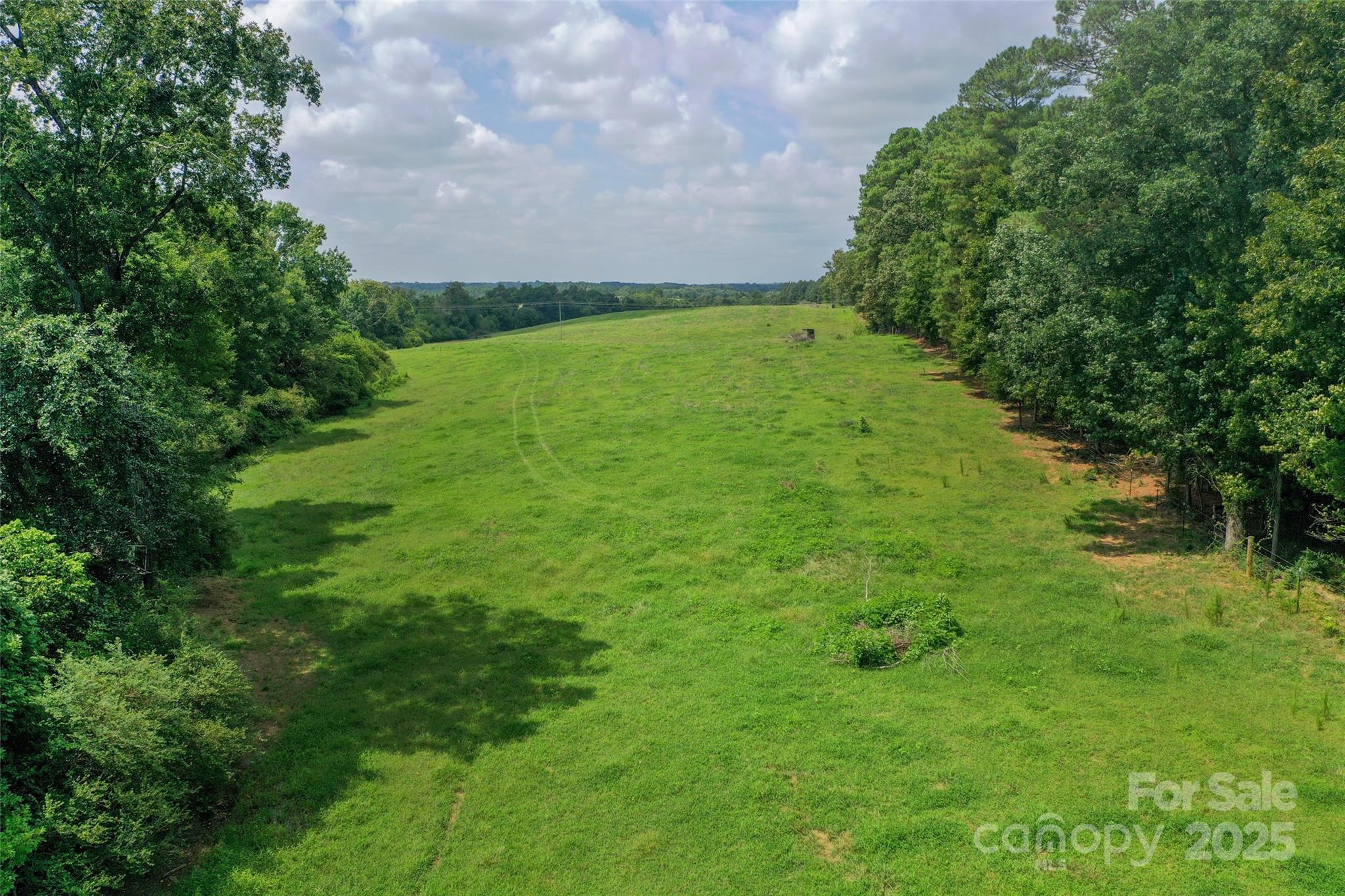 0 Old Goldmine Road, Unit H Marshville, NC 28103 - Photo 17 of 45 a view of a big yard with plants and large trees