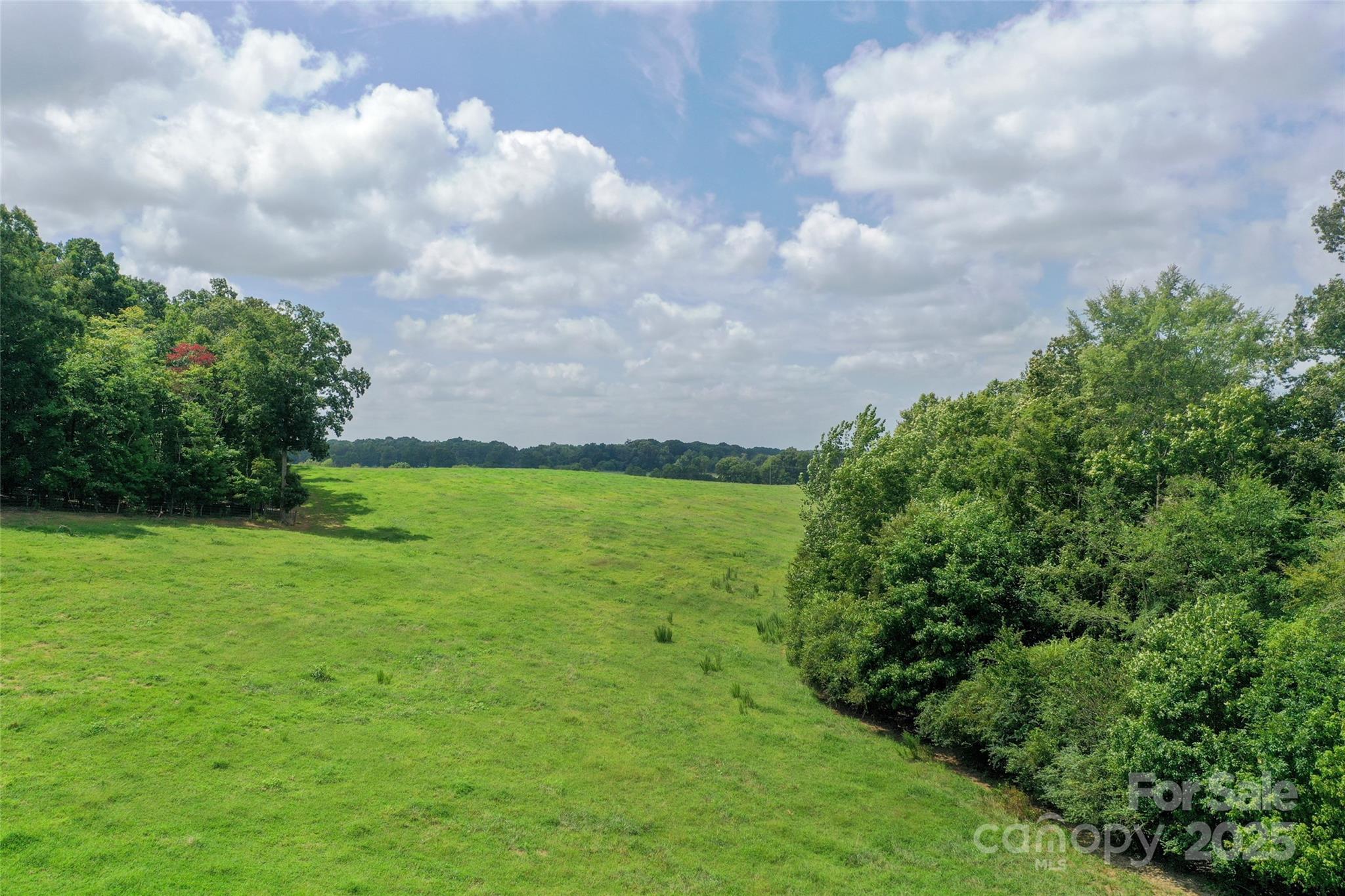 0 Old Goldmine Road, Unit H Marshville, NC 28103 - Photo 20 of 45 a view of yard with green space