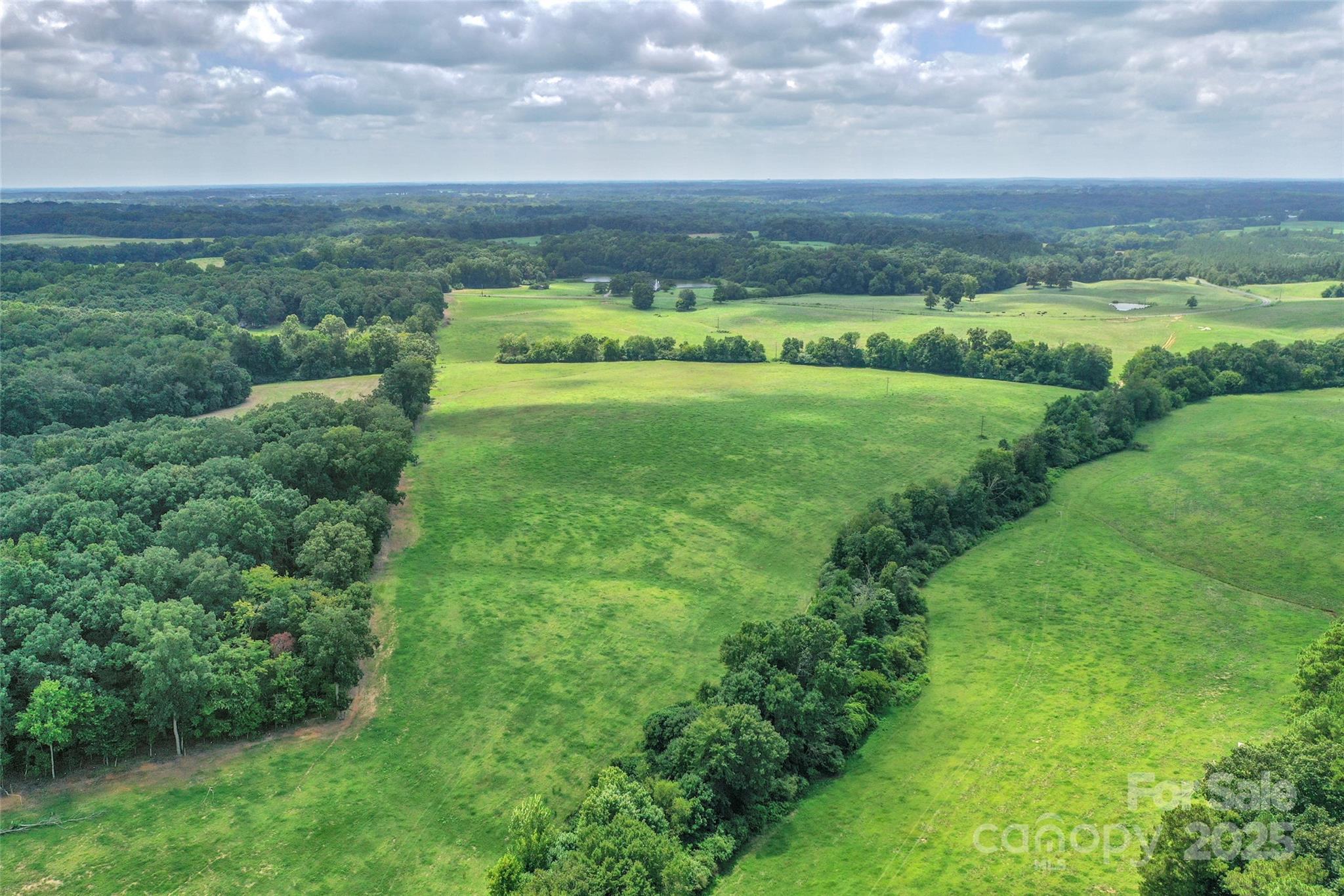 0 Old Goldmine Road, Unit H Marshville, NC 28103 - Photo 2 of 45 a view of a lush green field