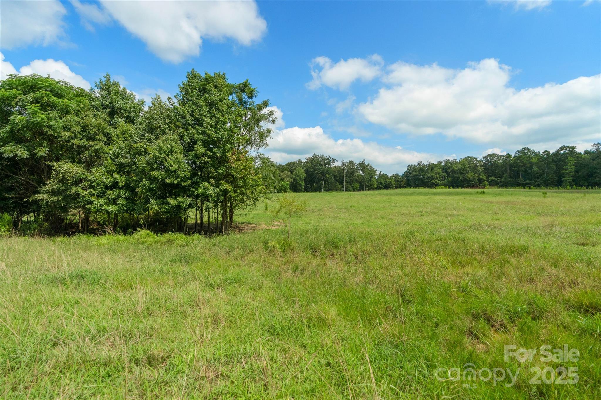 0 Old Goldmine Road, Unit H Marshville, NC 28103 - Photo 24 of 45 a view of field with trees in the background