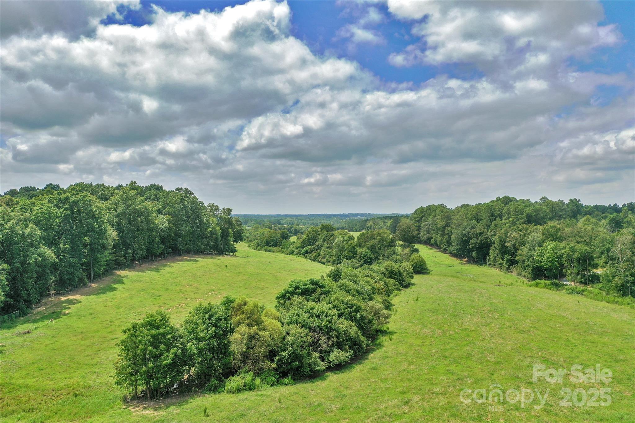 0 Old Goldmine Road, Unit H Marshville, NC 28103 - Photo 25 of 45 a view of a big yard with plants and large trees