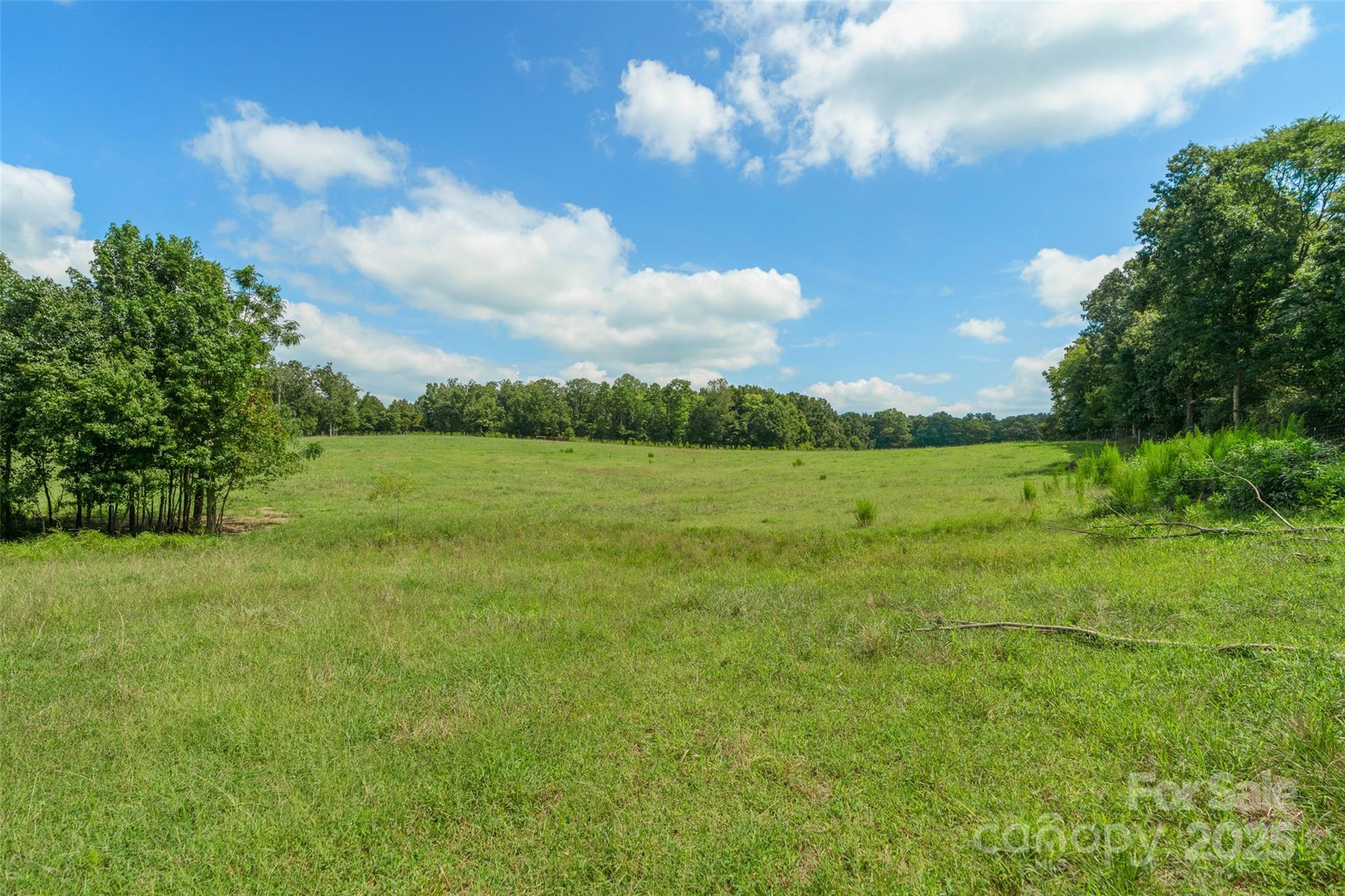 0 Old Goldmine Road, Unit H Marshville, NC 28103 - Photo 3 of 45 a view of a big yard with lots of green space