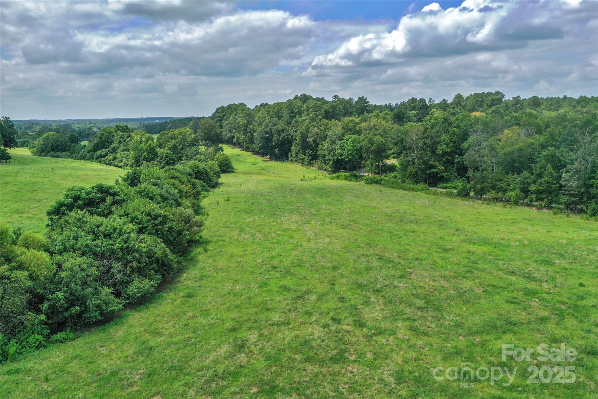 0 Old Goldmine Road, Unit H Marshville, NC 28103 - Photo 32 of 45 a view of a big yard with potted plants and large tree
