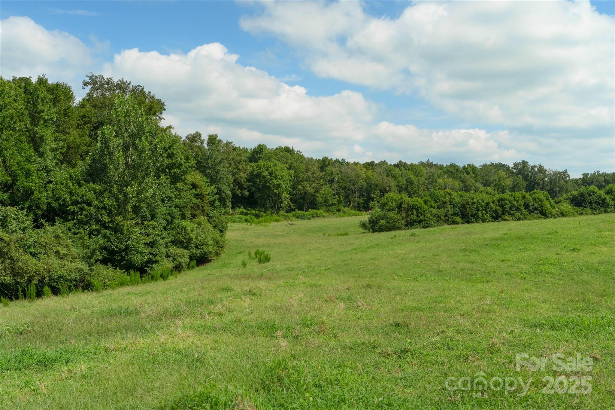 0 Old Goldmine Road, Unit H Marshville, NC 28103 - Photo 36 of 45 a view of a green field with lots of green space