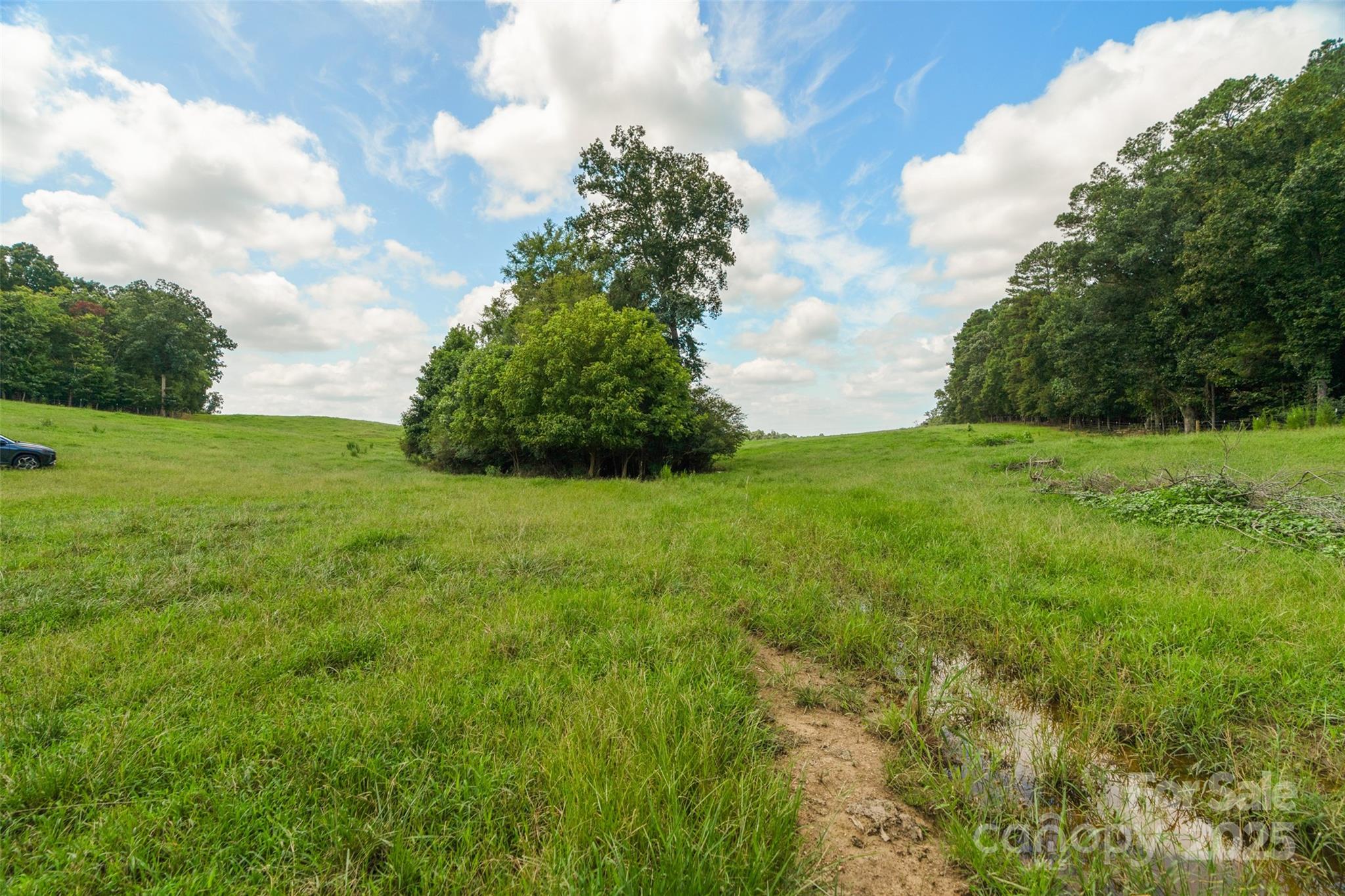 0 Old Goldmine Road, Unit H Marshville, NC 28103 - Photo 38 of 45 a view of a big yard with plants and large trees