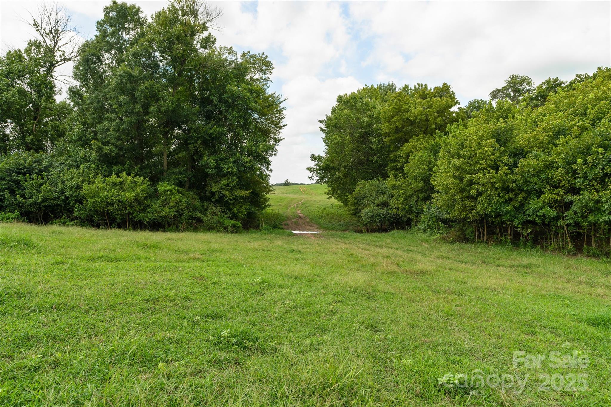 0 Old Goldmine Road, Unit H Marshville, NC 28103 - Photo 39 of 45 a view of a grassy field with trees