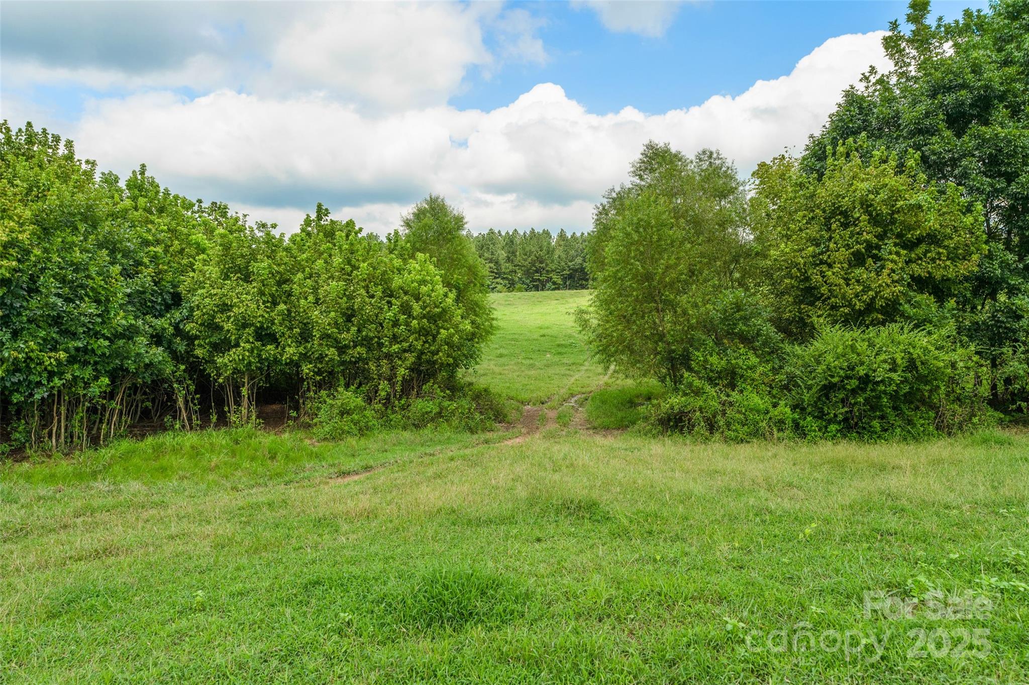 0 Old Goldmine Road, Unit H Marshville, NC 28103 - Photo 40 of 45 a view of a green field with plants and large trees