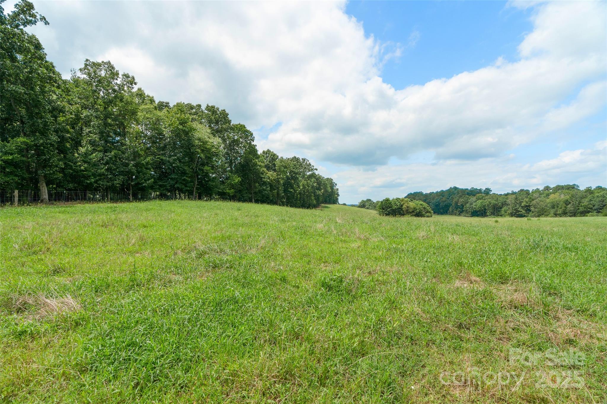 0 Old Goldmine Road, Unit H Marshville, NC 28103 - Photo 43 of 45 a view of grassy field with mountain