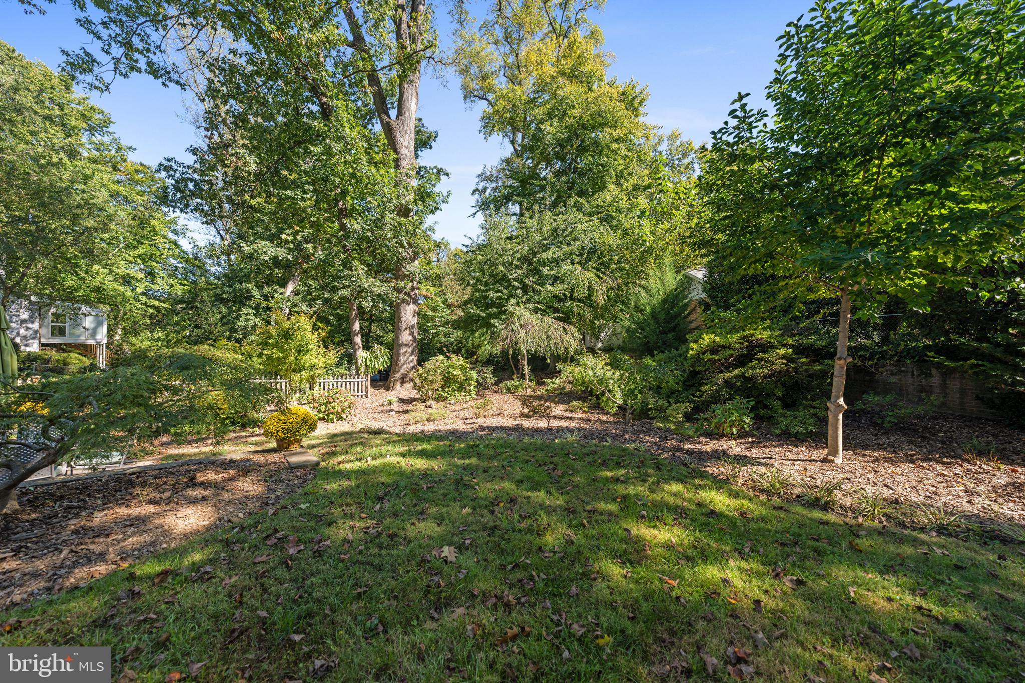 5612 Bent Branch Road Bethesda, MD 20816 - Photo 57 of 60 Professionally landscaped