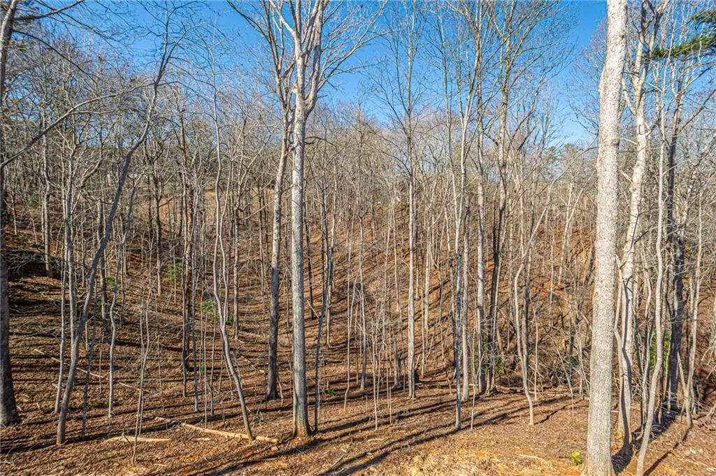 1415 Calhoun Road Dahlonega, GA 30533 - Photo 33 of 52