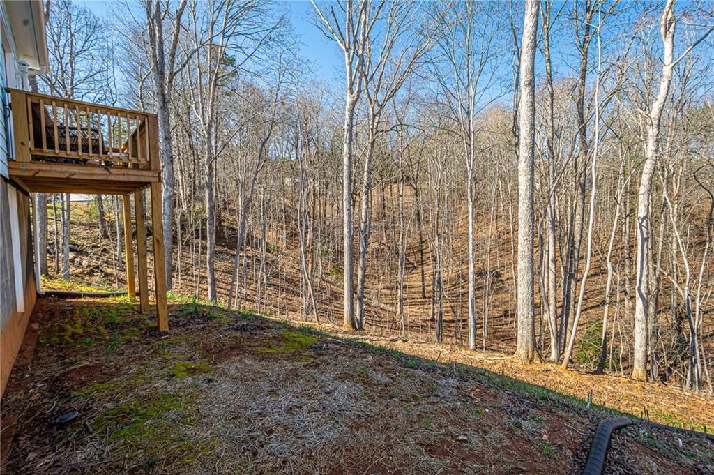 1415 Calhoun Road Dahlonega, GA 30533 - Photo 34 of 52