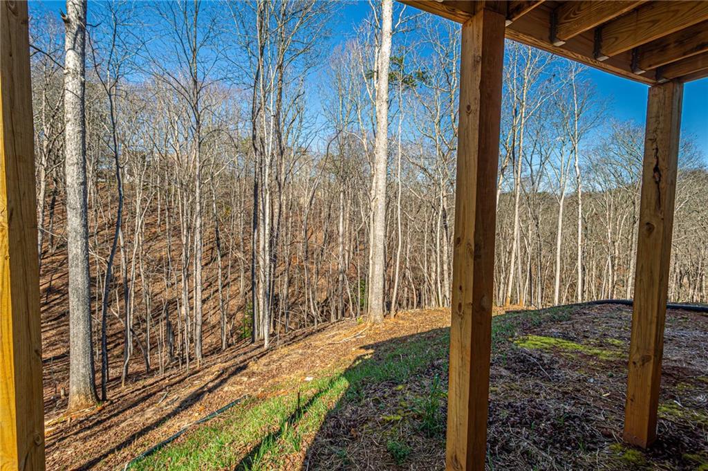 1415 Calhoun Road Dahlonega, GA 30533 - Photo 36 of 52