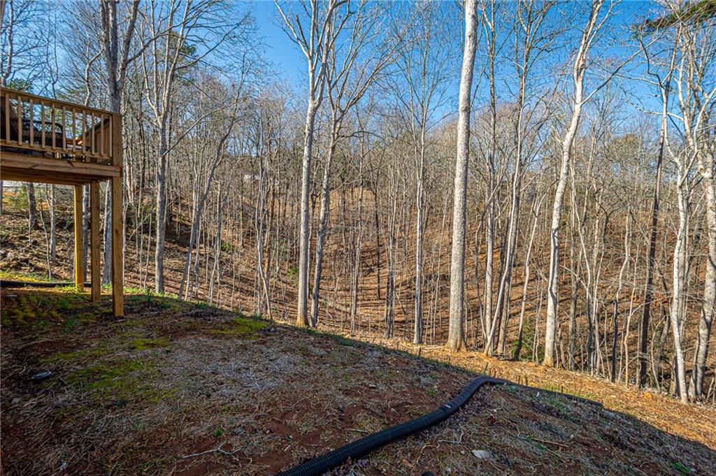 1415 Calhoun Road Dahlonega, GA 30533 - Photo 37 of 52