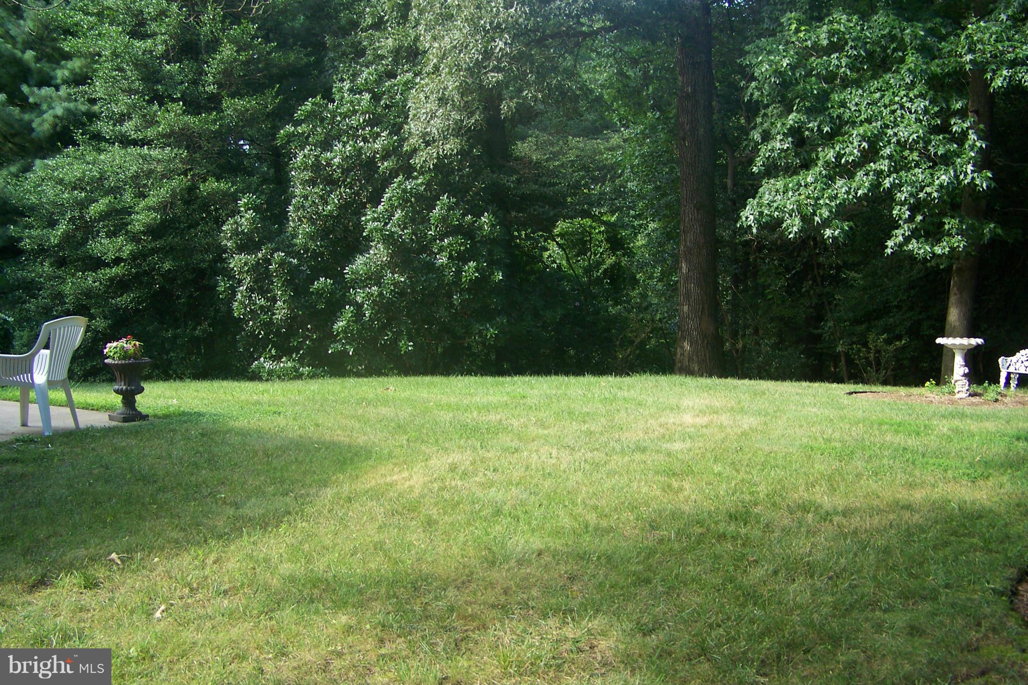 90 Circle Road Pasadena, MD 21122 - Photo 5 of 21 Yard Backing to tree & woods.
