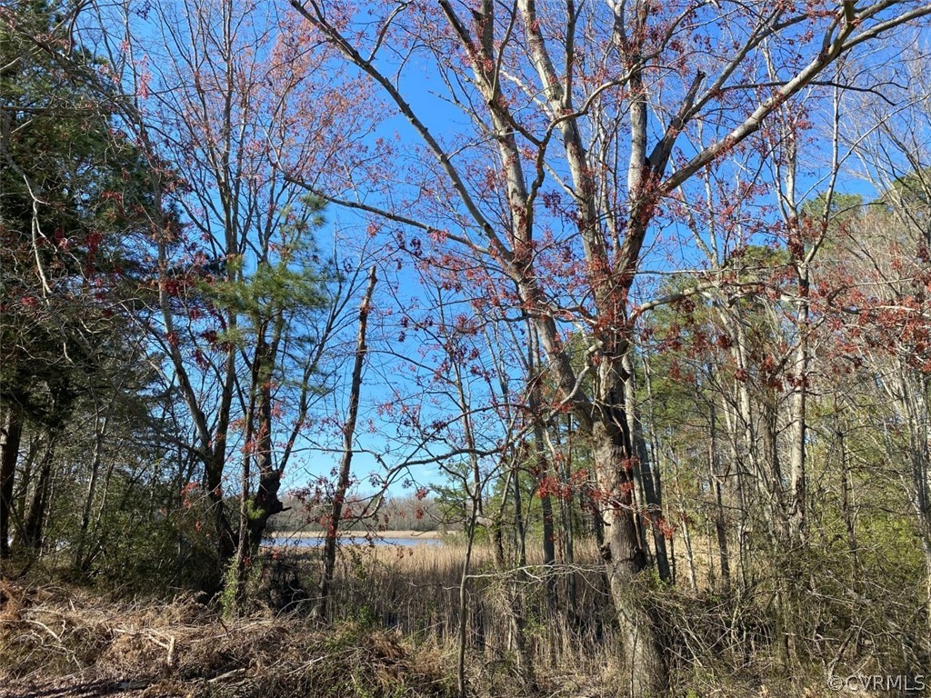 0 Cedar Point Road Warsaw, VA 22572 - Photo 1 of 4 View of Totuskey Creek across the marsh.