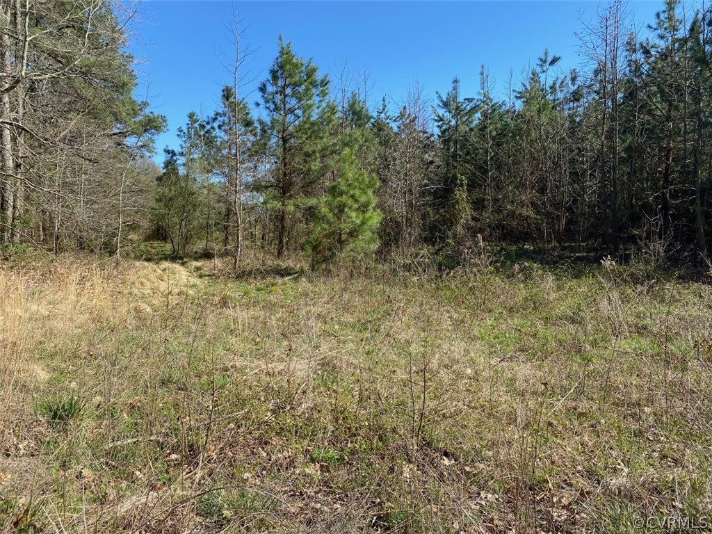 0 Cedar Point Road Warsaw, VA 22572 - Photo 3 of 4 Area of acreage previous soil work in 2003.