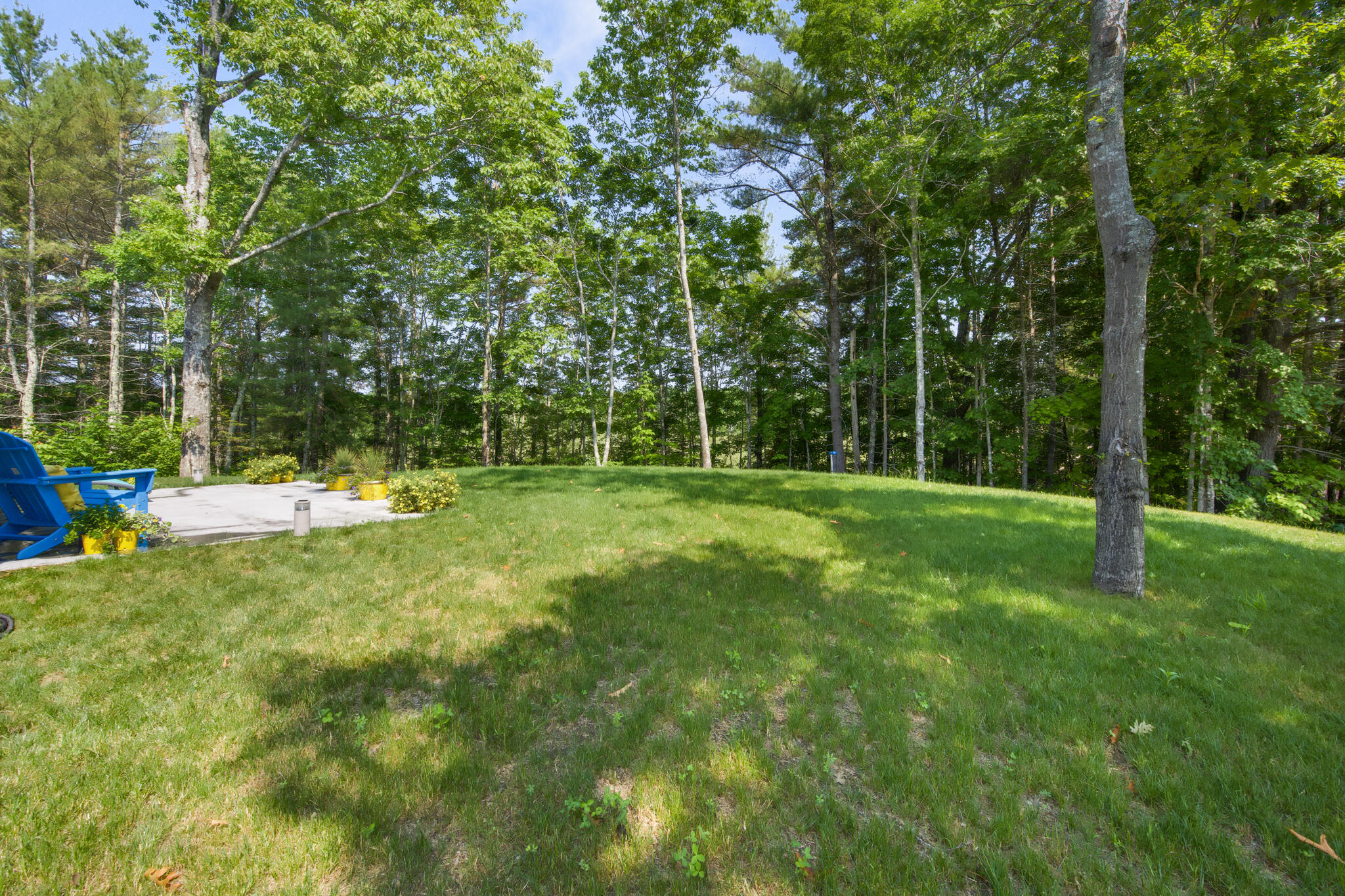 1719 Dixmont Road Etna, ME 04434 - Photo 32 of 46 1719 lawn view