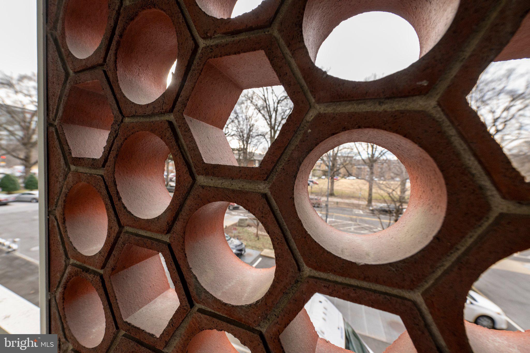 800 4th Street Southwest, Unit N107 Washington, DC 20024 - Photo 20 of 52 Geometric patterns framing nature.