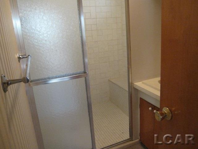 3666 Country Club Road Adrian, MI 49221 - Photo 23 of 32 Lower Bath