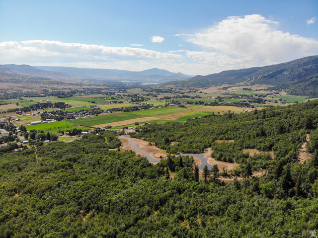 2808 East Arrowleaf Lane, Unit 2 Eden, UT 84310 - Photo 8 of 15 Drone / aerial view of a mountain backdrop and a forest