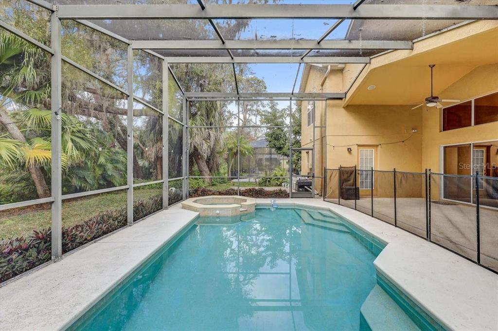 15129 Shearcrest Drive Lithia, FL 33547 - Photo 2 of 48 a view of a indoor swimming pool