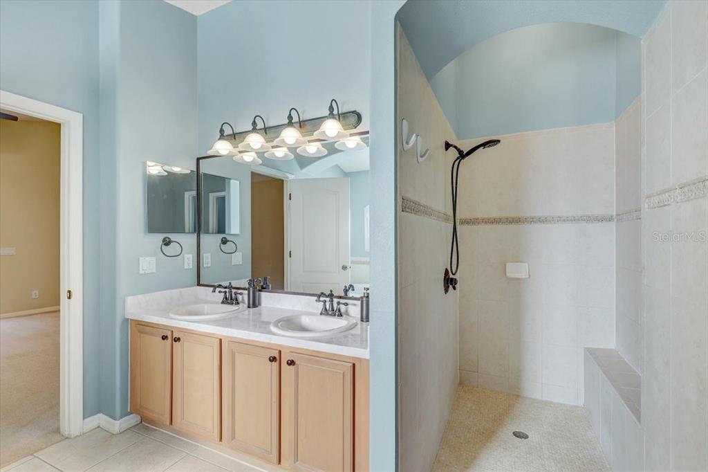 15129 Shearcrest Drive Lithia, FL 33547 - Photo 27 of 48 a bathroom with a double vanity sink and mirror