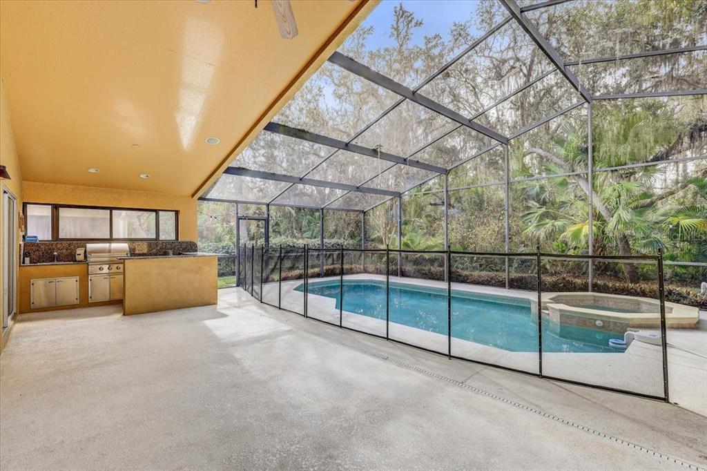 15129 Shearcrest Drive Lithia, FL 33547 - Photo 39 of 48 a view of a backyard