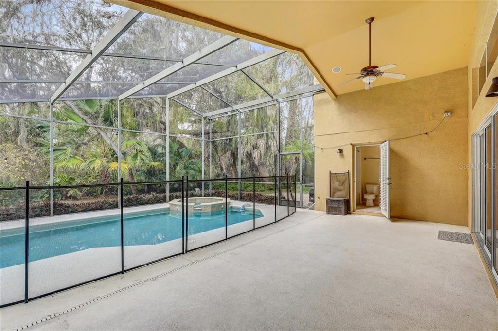 15129 Shearcrest Drive Lithia, FL 33547 - Photo 40 of 48