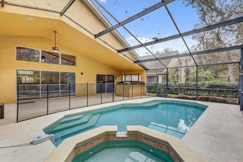 15129 Shearcrest Drive Lithia, FL 33547 - Photo 41 of 48 a view of a swimming pool with a patio