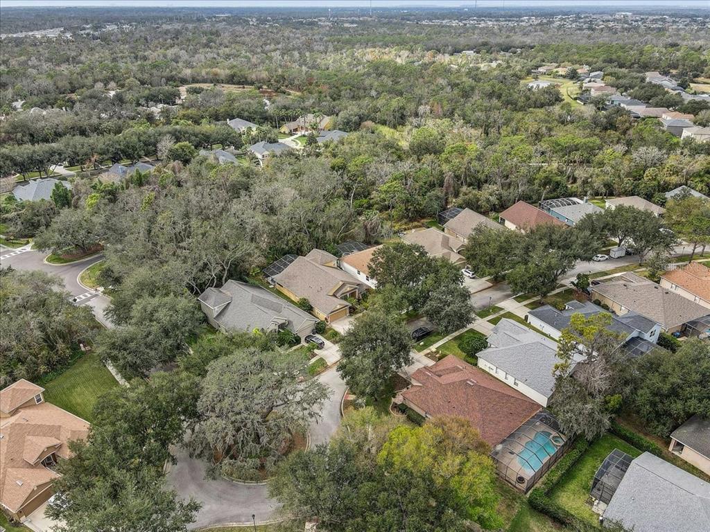 15129 Shearcrest Drive Lithia, FL 33547 - Photo 47 of 48 an aerial view of residential houses with outdoor space and trees