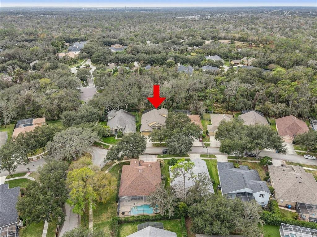 15129 Shearcrest Drive Lithia, FL 33547 - Photo 48 of 48 an aerial view of residential houses with outdoor space and trees