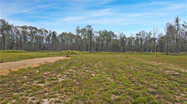 51034 George Road Tickfaw, LA 70466 - Photo 3 of 12