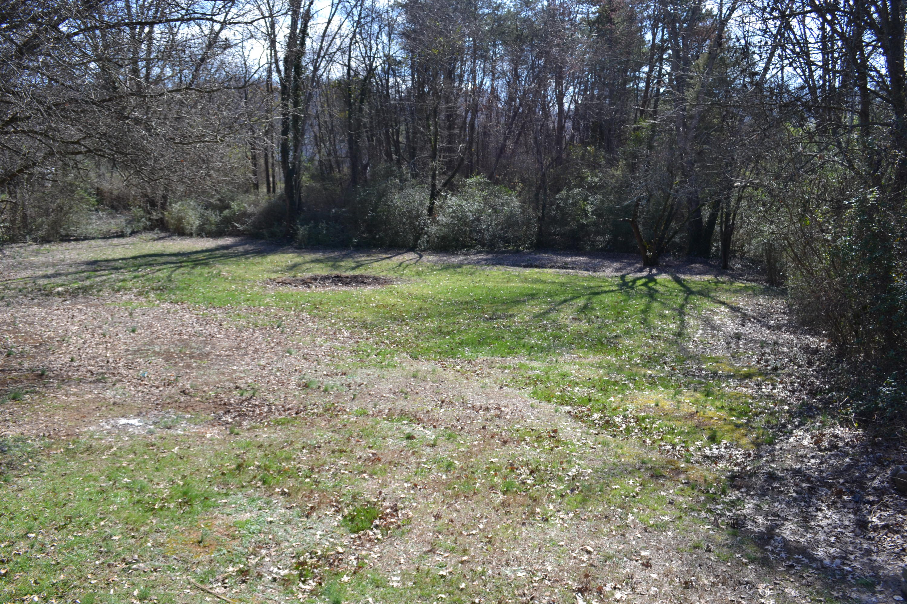 7544 Beaver Ridge Road Knoxville, TN 37931 - Photo 24 of 25 Back Yard