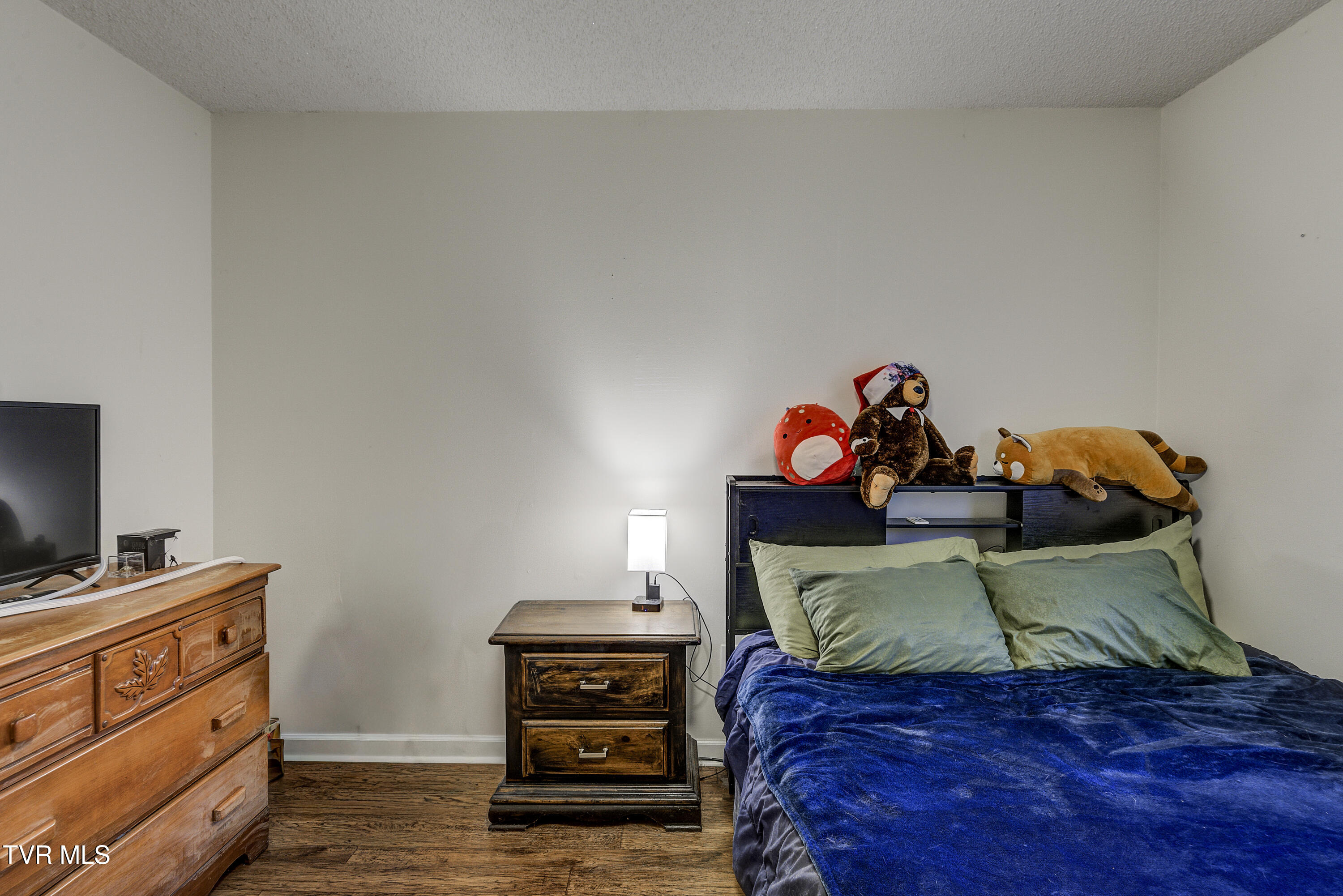 124 Ogle Road Unicoi, TN 37692 - Photo 22 of 53 OgleRd--16