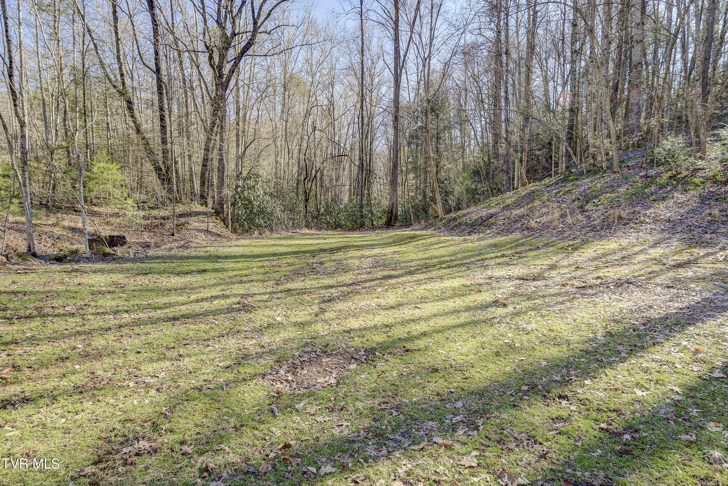 124 Ogle Road Unicoi, TN 37692 - Photo 45 of 53 OgleRd--35
