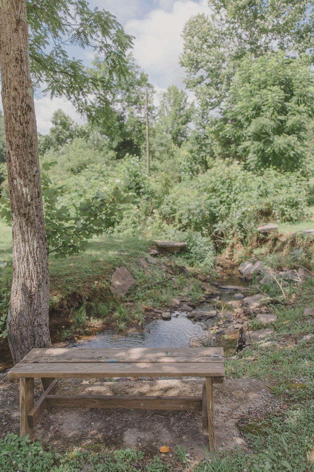 1576 Dripping Springs Road LaFayette, GA 30728 - Photo 17 of 75 098A9447