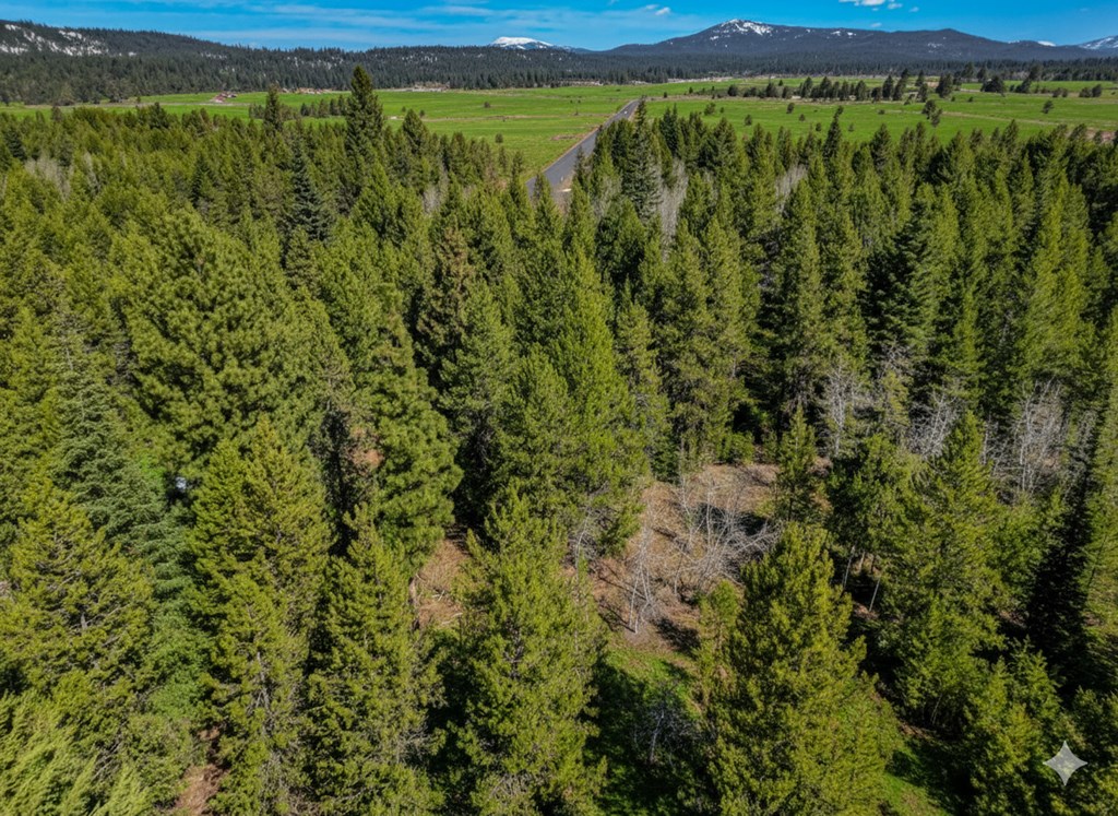 32 Thunderbolt Place, Unit 79 McCall, ID 83638 - Photo 4 of 12