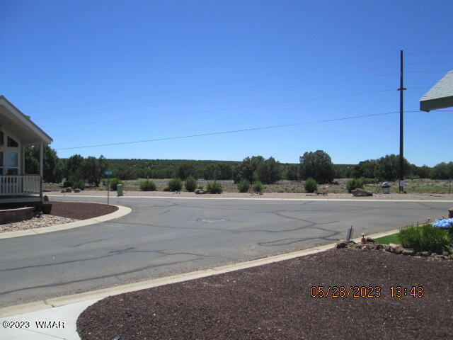 8202 Apache Way Show Low, AZ 85901 - Photo 3 of 9